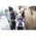 Ergobaby Babytrage Omni 360 - Star Dust