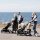 Lascal BuggyBoard Maxi