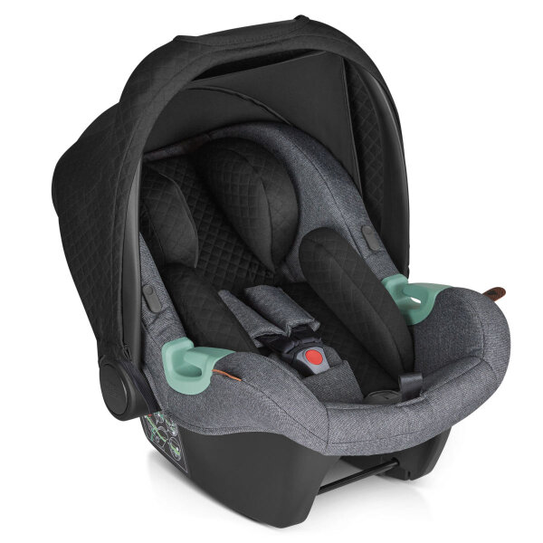 ABC Design Babyschale Tulip Gruppe 0+ Kollektion 2020...