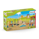 Schleich Farm World Agility bei der Pferdebox