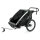 Thule Chariot Lite 2 Fahrradanhänger Agave