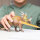Schleich Dinosaurier Styracosaurus