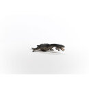 Schleich Dinosaurier Nothosaurus