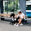 ABC Design Ping Two Buggy Herb Diamond Kollektion 2022