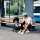 ABC Design Ping Two Buggy Herb Diamond Kollektion 2022