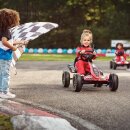 Berg Pedal Gokart Reppy GP