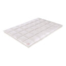 Paradies Daunenbettdecke Galia 90 Leicht Warm 135x200 cm