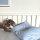 Babydorm Babykopfkissen Original