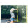 Authentic Sports Plum Springsafe Trampolin Wave 244 cm mit Sicherheitsnetz