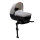 Joie Signature Babywanne Calmi Carbon