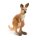 Schleich Wild Life Outback Abenteuer