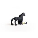 Schleich Horse Club Beauty Horse Criollo Definitivo Stute