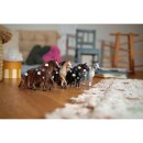 Schleich Horse Club Beauty Horse Criollo Definitivo Stute
