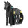 Schleich Horse Club Beauty Horse Criollo Definitivo Stute