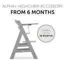 Hauck Tisch Tray für Hochstuhl Alpha+ Grey
