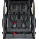 Qeridoo Fahrradanhänger Kidgoo 2 Steel Grey