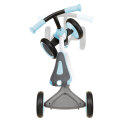 Authentic Sports Globber Dreirad Learning Bike 3 in1