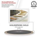 BERG Grand Favorit Trampolin Regular 520 + Safety Net Comfort