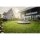 BERG Favorit Trampolin - InGround 330 cm Grau
