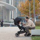 Nuna Kompakt Buggy TRVL™ lx