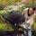 Nuna Set Demi™ Next Kinderwagen + Babywanne