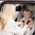 Joie Kindersitz i-Harbour mit i-Base Encor e
