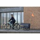 Qeridoo Lastenanhänger Qubee XL