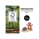Hauck Play Shaking S Wackel-Bär