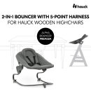 Hauck Alpha Bouncer Premium Babywippe