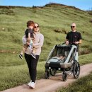 ABC Design Fahrradanhänger Tour mit 2 Komfortsitzen & Lufträdern Olive