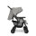 Joie Aire Twin Zwillingsbuggy inkl. Regenverdeck Pebble