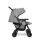 Joie Aire Twin Zwillingsbuggy inkl. Regenverdeck Pebble