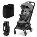 Kinderkraft Buggy Pilot 2 Kollektion 2025 Gray