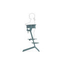 Cybex Gold Lemo Learning Tower Set