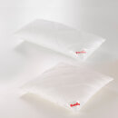 Paradies Kissen Softy Plus Bio