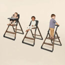 Ergobaby Evolve Kombi-Hochstuhl Set