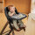 Ergobaby Evolve Kombi-Hochstuhl Set