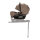 Nuna Babyschale ARRA™ flex Cedar