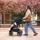 Nuna Triv lx all-in-one Set