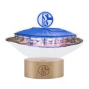 FC Schalke 04 LED Lampen