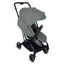 my junior PICO³⁶⁰ Buggy