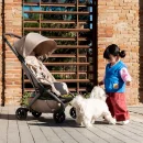 Joolz Aer2 Buggy