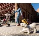 Joolz Aer2 Buggy