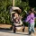 Joolz Aer2 Buggy