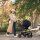 Nuna Babyschale ARRA™ flex + Base Next