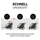 Hauck Fahrradanhänger Bike N Walk Duo