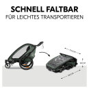 Hauck Fahrradanhänger Bike N Walk Duo