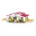 Schleich 42344 Reiterhof mit Reiterin, Pferden und Zubehör