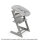 Stokke Tripp Trapp® Hochstuhl | storm grey