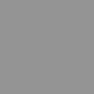 Platinium Grey